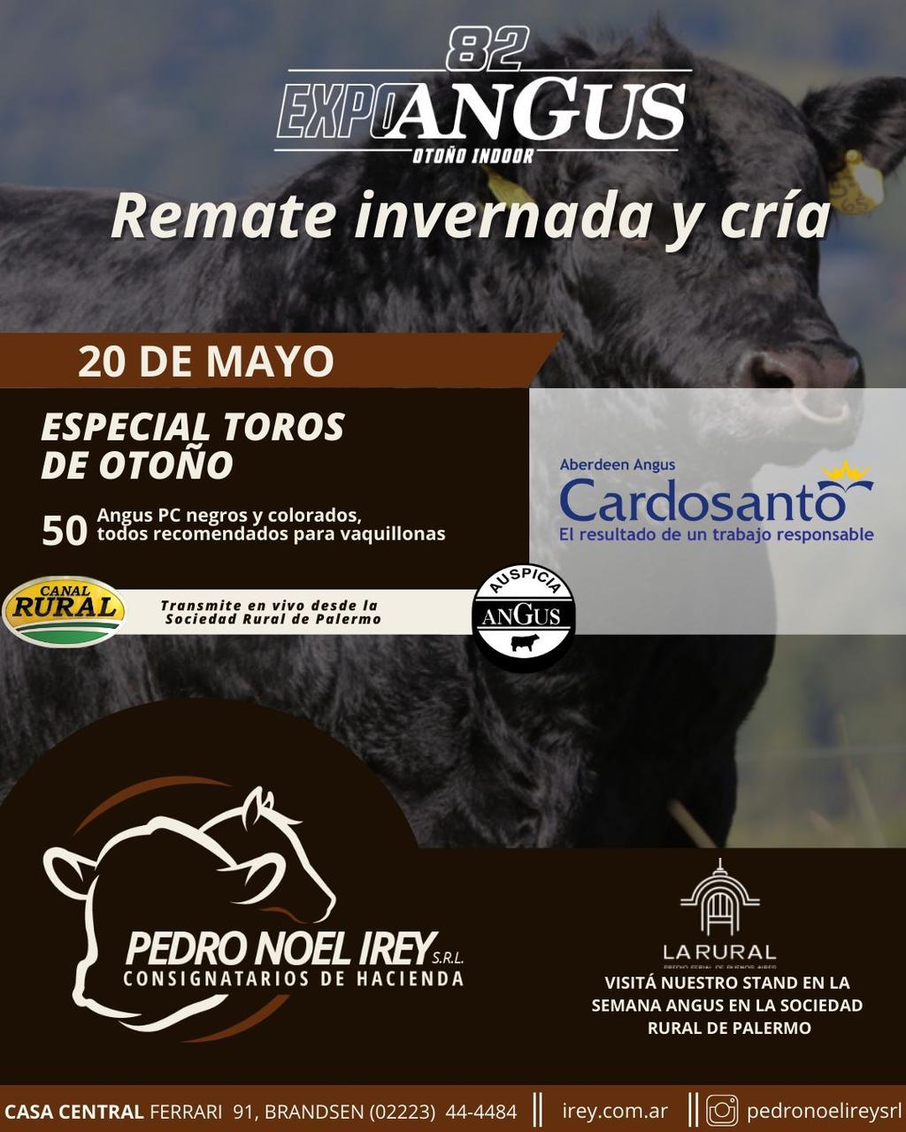 Imagen de Pedro Noel Irey "82º Expo Angus"